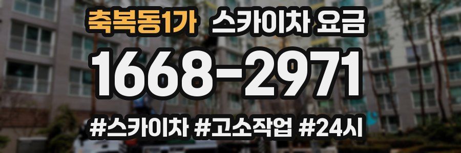 축복동1가 스카이차 요금