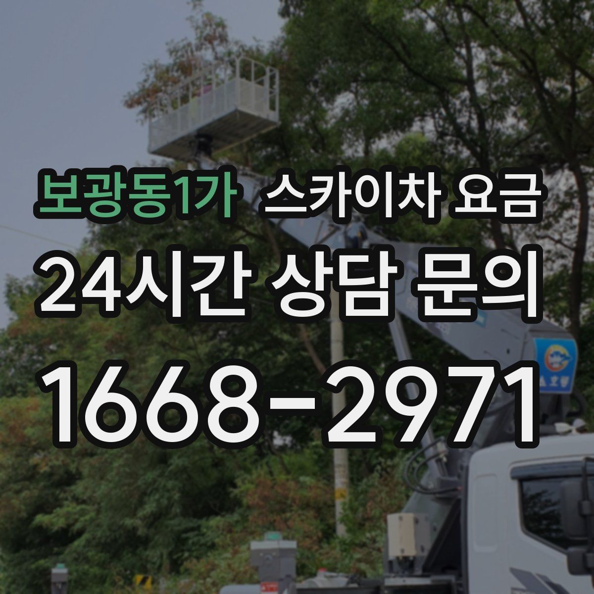 보광동1가 스카이차 요금