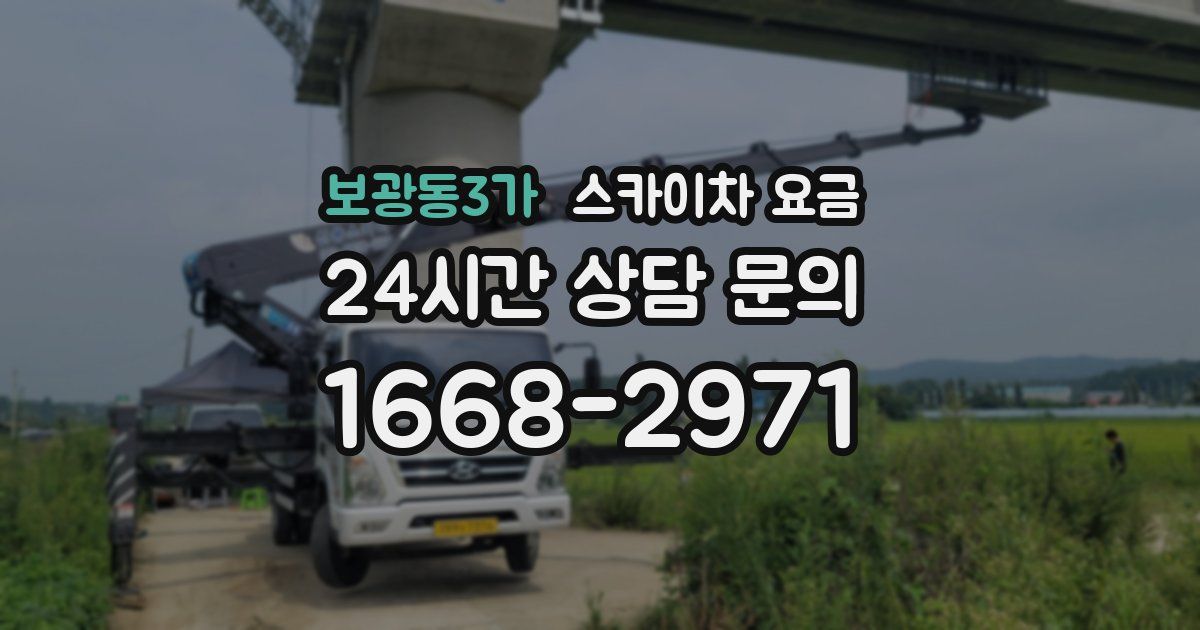 보광동3가 스카이차 요금