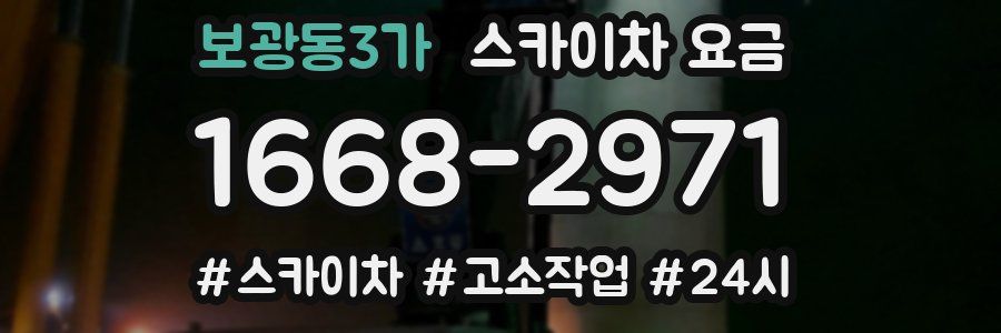 보광동3가 스카이차 요금