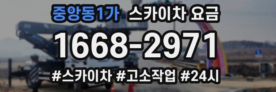 중앙동1가 스카이차 요금