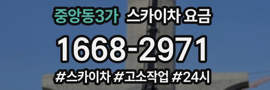 중앙동3가 스카이차 요금