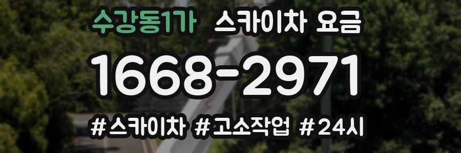수강동1가 스카이차 요금