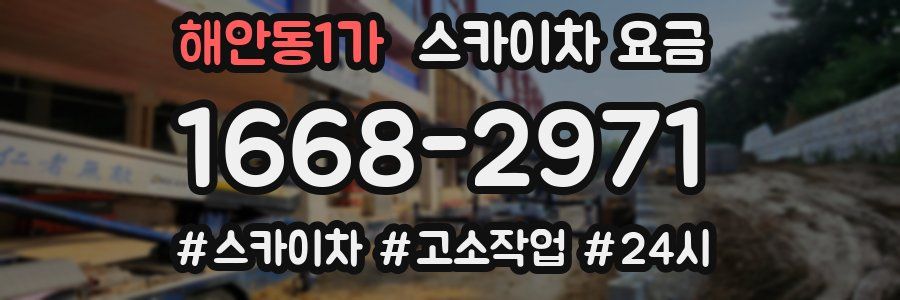 해안동1가 스카이차 요금