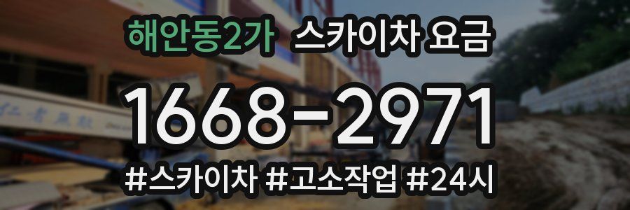 해안동2가 스카이차 요금