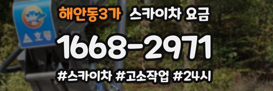 해안동3가 스카이차 요금