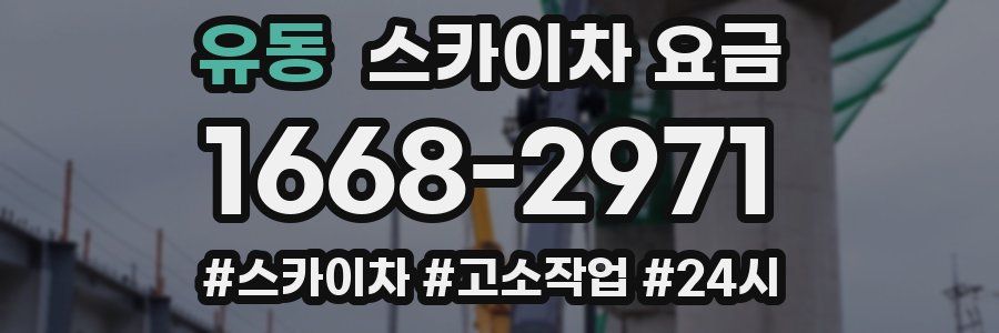 유동 스카이차 요금