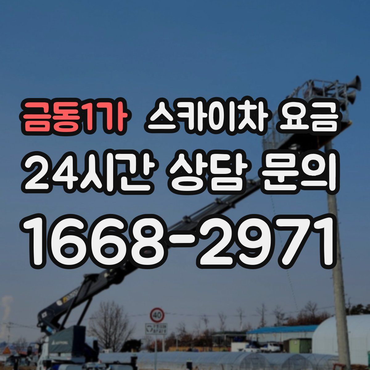 금동1가 스카이차 요금