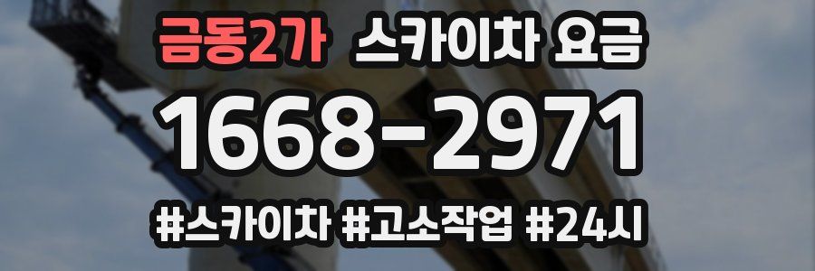 금동2가 스카이차 요금