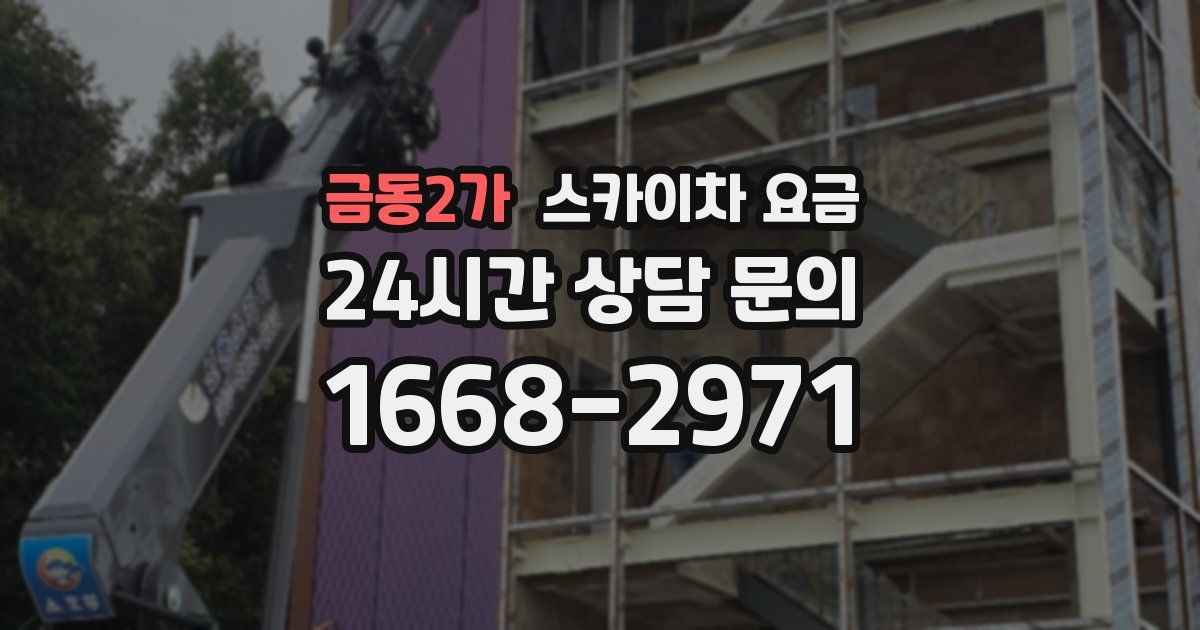 금동2가 스카이차 요금