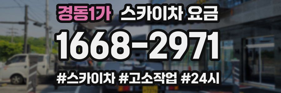 경동1가 스카이차 요금