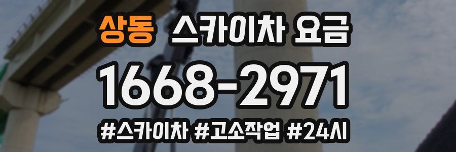 상동 스카이차 요금