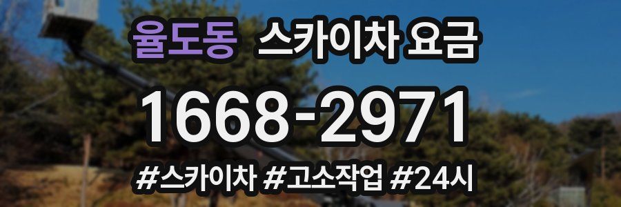 율도동 스카이차 요금