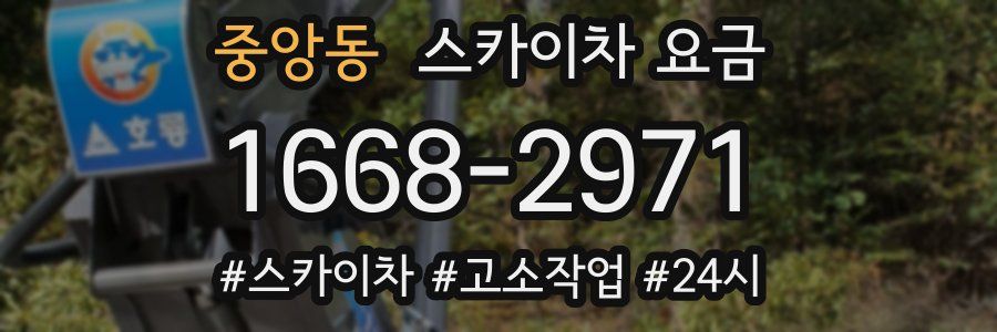 중앙동 스카이차 요금