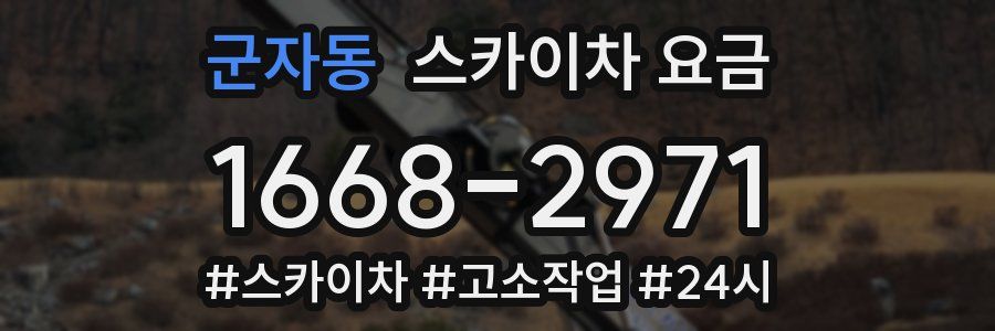 군자동 스카이차 요금
