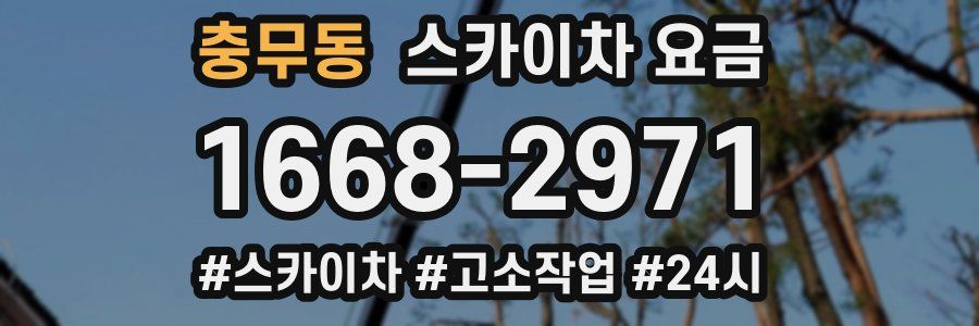 충무동 스카이차 요금