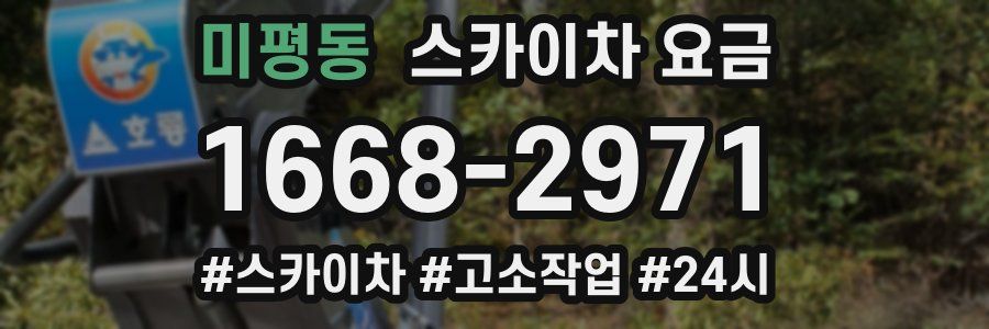 미평동 스카이차 요금