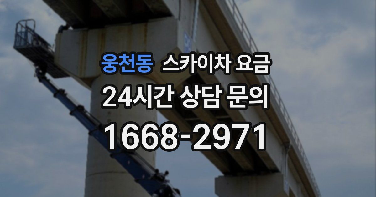웅천동 스카이차 요금