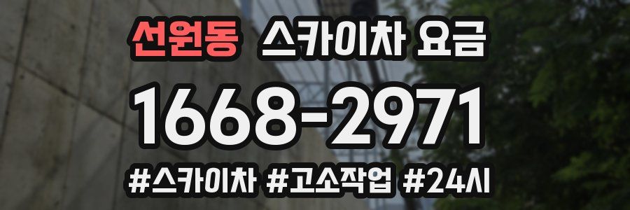 선원동 스카이차 요금
