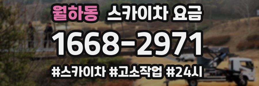 월하동 스카이차 요금