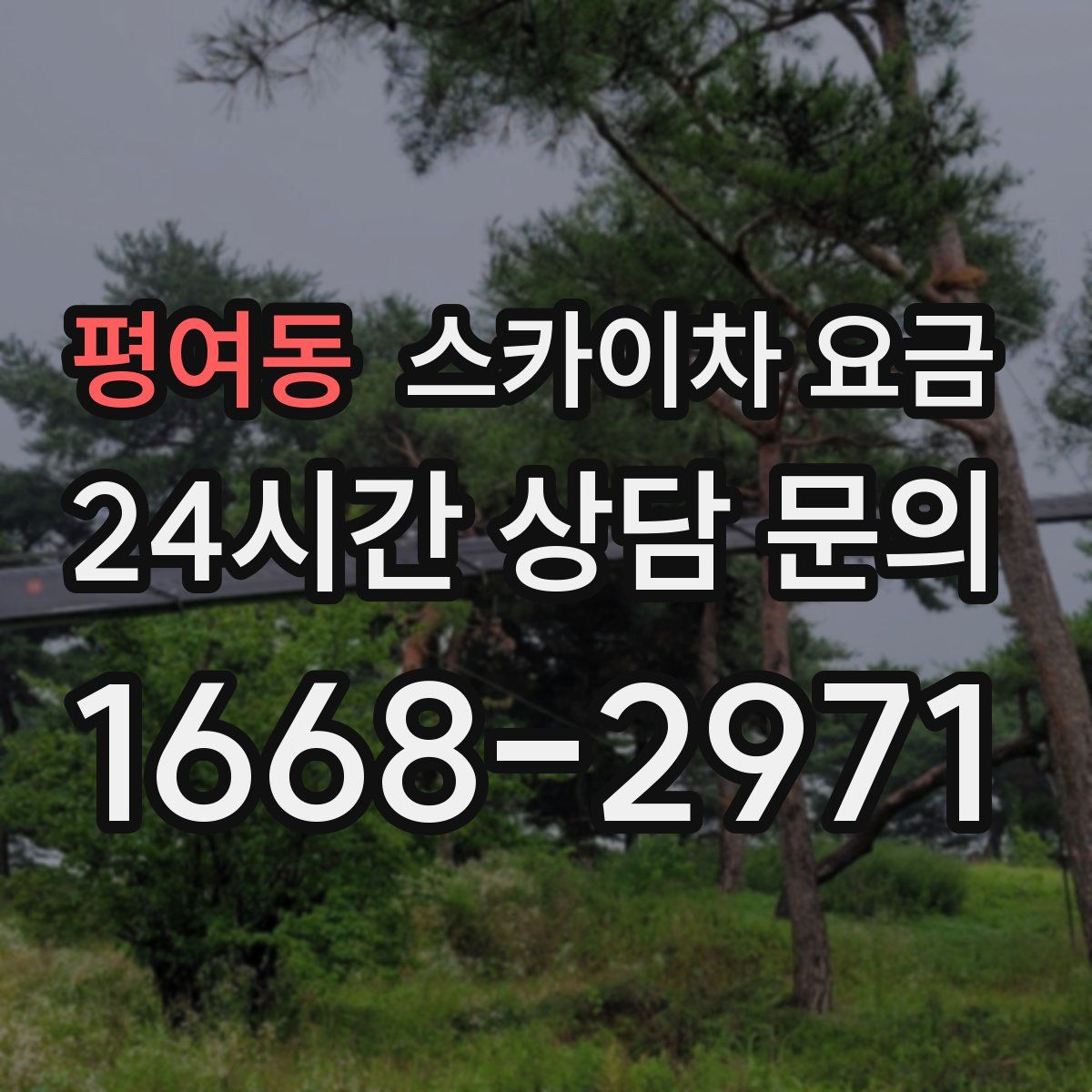 평여동 스카이차 요금