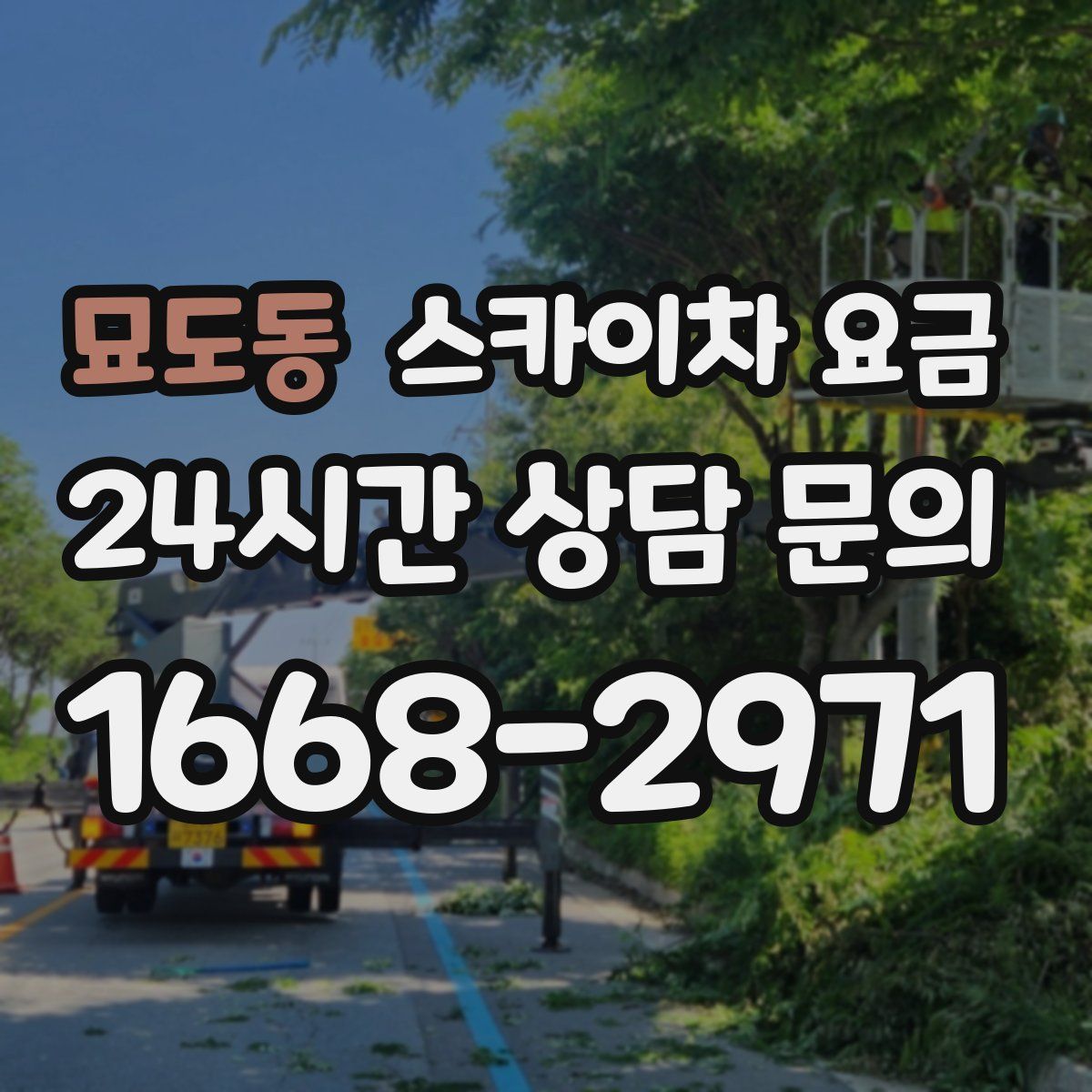 묘도동 스카이차 요금