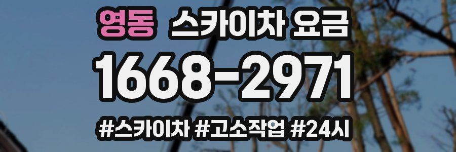 영동 스카이차 요금