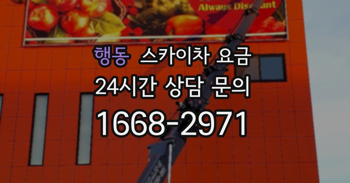 행동 스카이차 요금