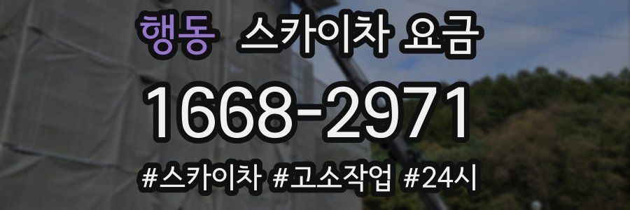 행동 스카이차 요금