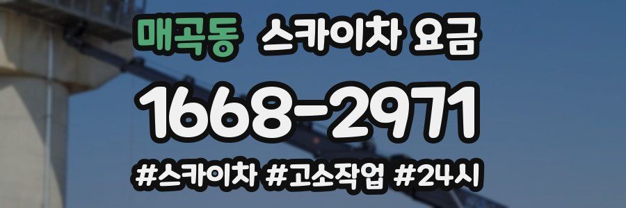 매곡동 스카이차 요금