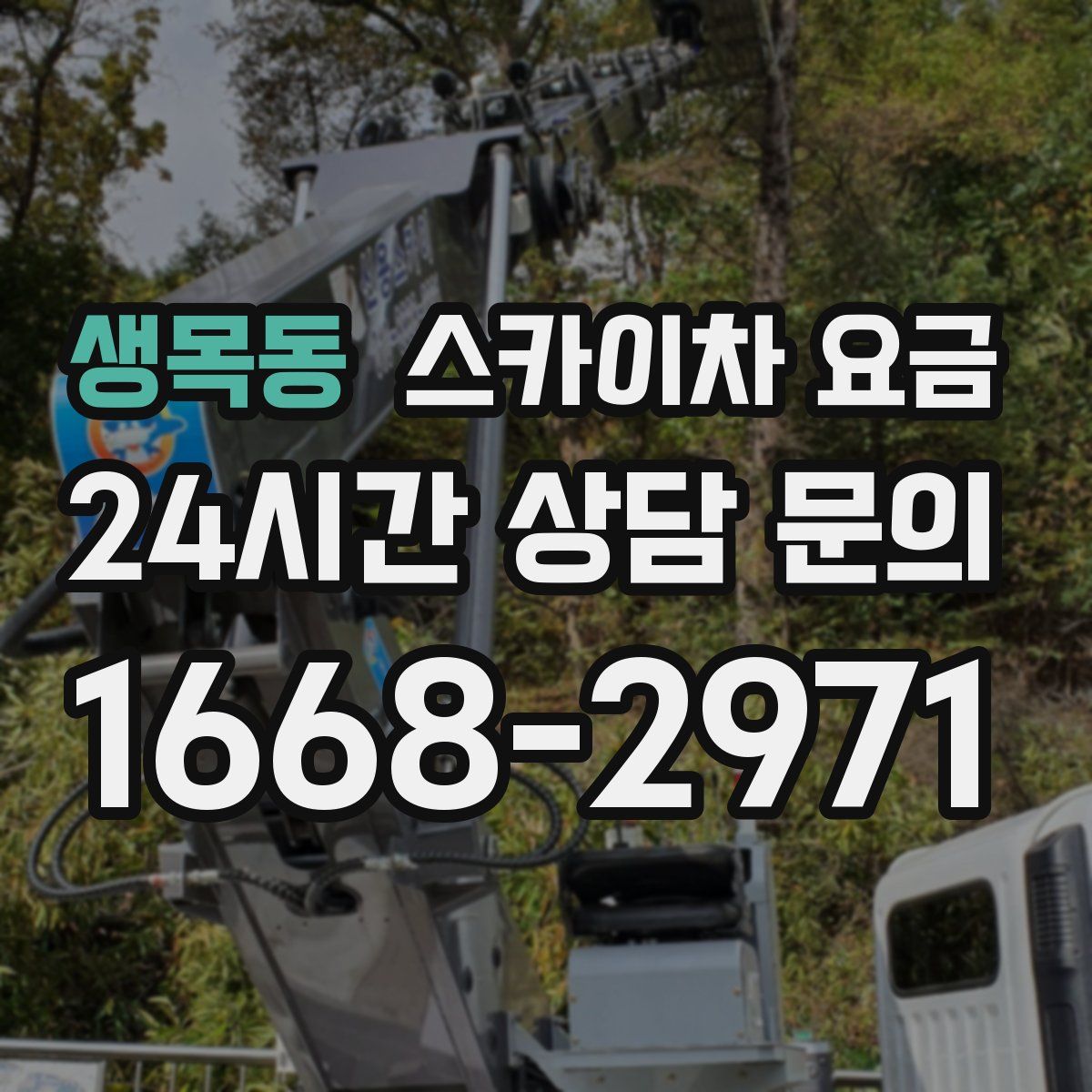 생목동 스카이차 요금