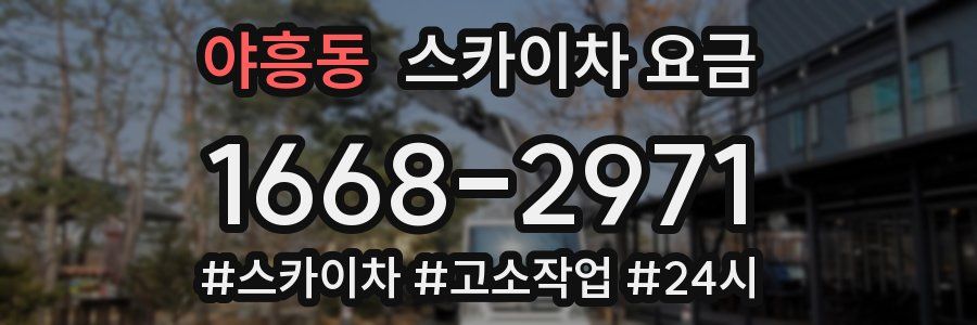 야흥동 스카이차 요금