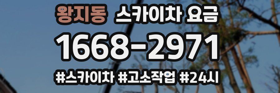 왕지동 스카이차 요금
