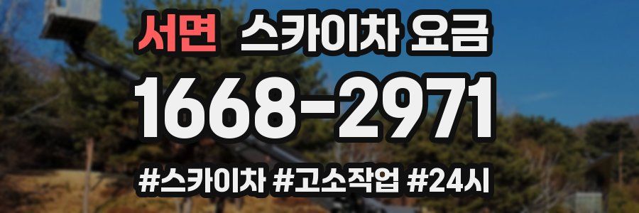 서면 스카이차 요금