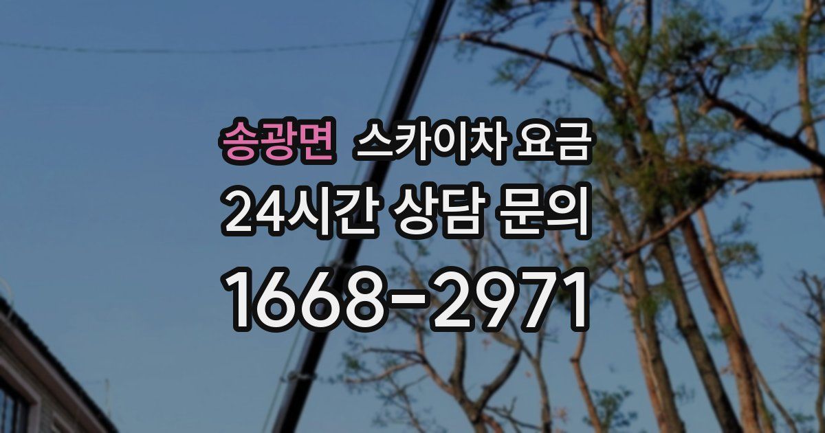송광면 스카이차 요금