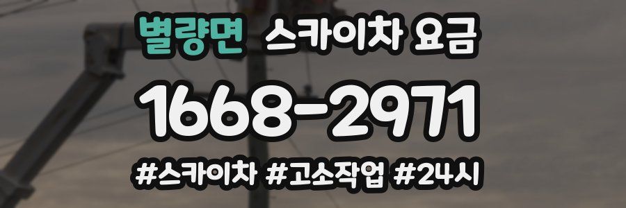 별량면 스카이차 요금