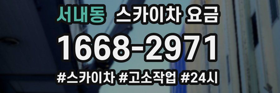 서내동 스카이차 요금