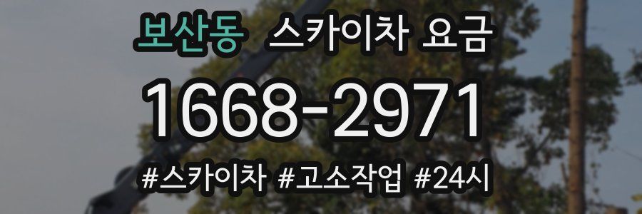 보산동 스카이차 요금