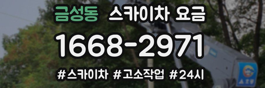 금성동 스카이차 요금