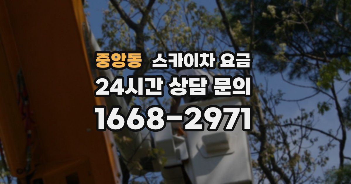중앙동 스카이차 요금