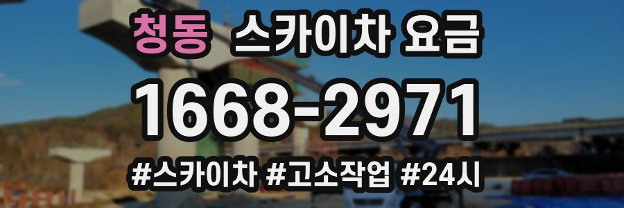 청동 스카이차 요금
