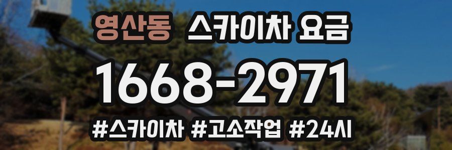 영산동 스카이차 요금