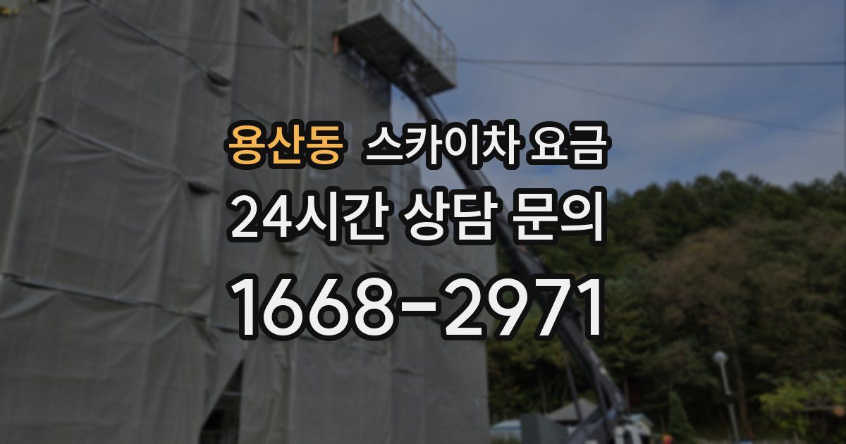 용산동 스카이차 요금