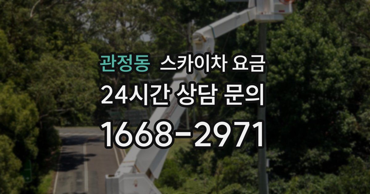 관정동 스카이차 요금