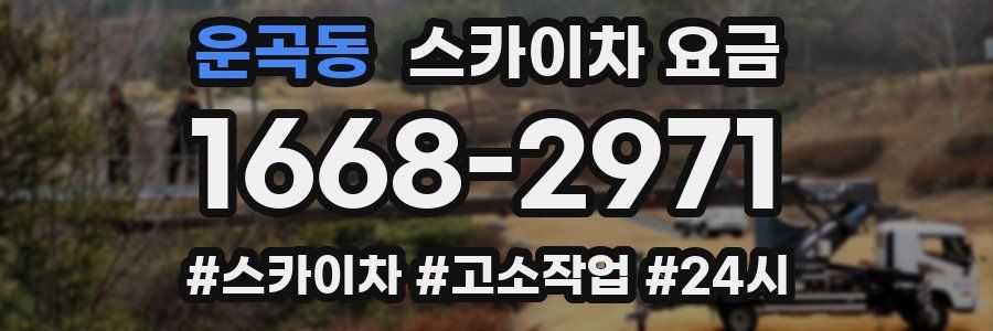 운곡동 스카이차 요금