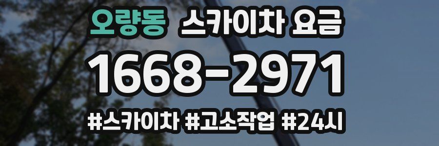 오량동 스카이차 요금
