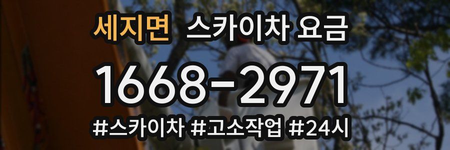 세지면 스카이차 요금