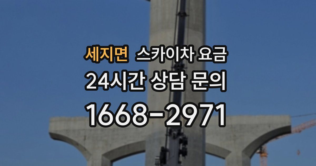 세지면 스카이차 요금