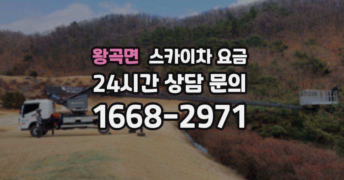 왕곡면 스카이차 요금