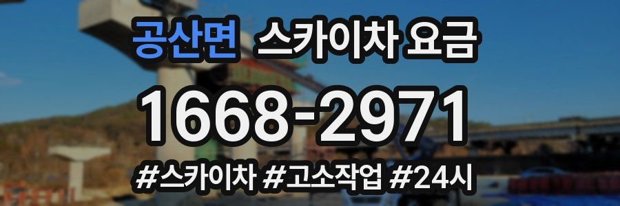 공산면 스카이차 요금